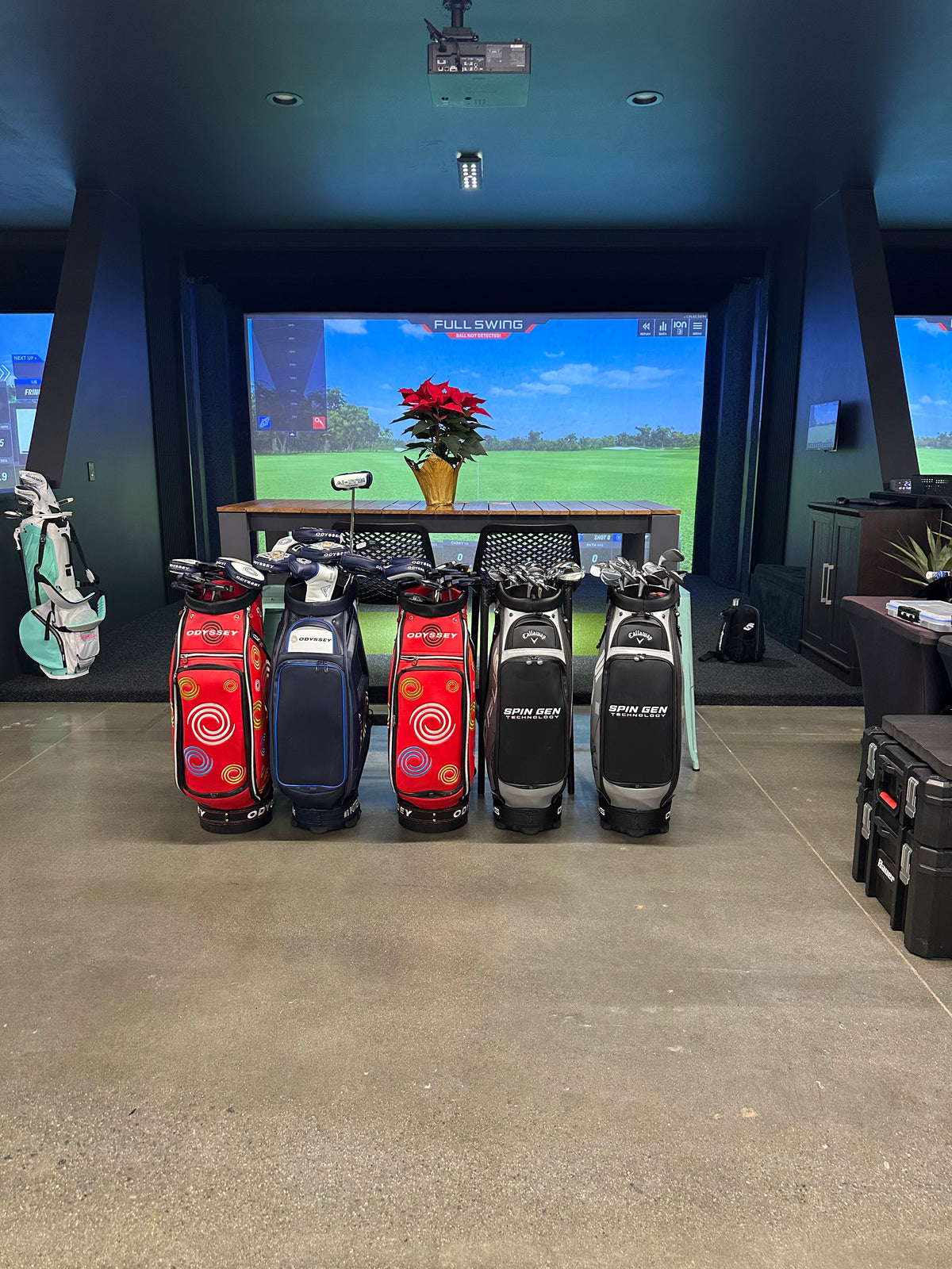 Bermuda Club Carlsbad golf and indoor golf simualtors